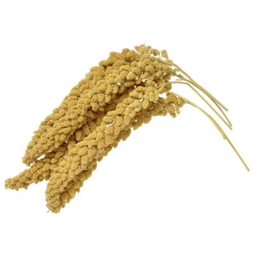 Snacks & Λιχουδιές