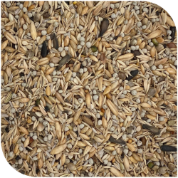 BLATTNER-Goldfinch Minor MEDITERRANEO  (no niger), 15kg