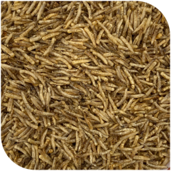 BLATTNER-FLY Larvae dried, 1kg