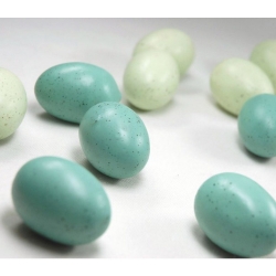NOBBY: SET: Canary Dummy Eggs, x100