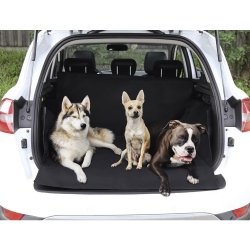 NOBBY: Car Seat protection