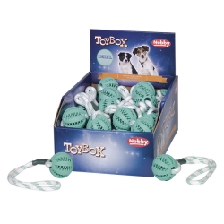 NOBBY DISPLAY: RUBBER Ball w/ ROPE DENTAL x32