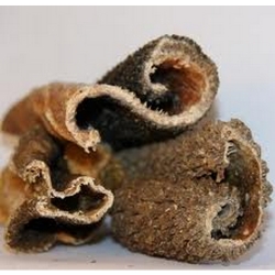 NOBBY: Cow Pansen, 500g Germany