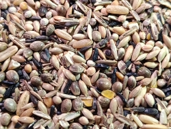 G&B: Wild Bird Mix, ALPHA, 15kg