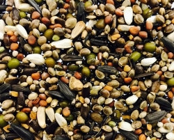 HOEBREGTS-Germination Mix for CARDUELIS (RASKIN), 20kg