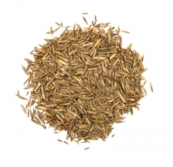 HOEBREGTS-σπόρος ΓΡΑΣΙΔΙ Knaul, σακί 25kg