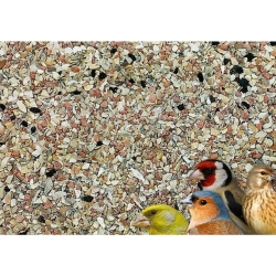 HOEBREGTS-OSTREA Grit bedding 20kg