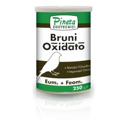 PINETA-Color-BRUNI, oxydato, 100g