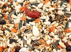 HOEBREGTS-Parrot Mix, TUTTI FRUTI, 15kg