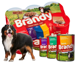 BRANDY Cans Chicken LOAF, 395g