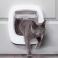 PETSAFE Door for big Cats / Small dogs