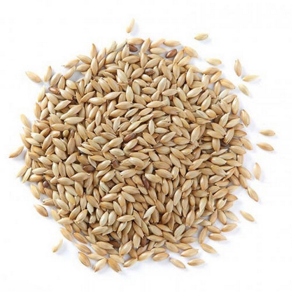 SUPREME: EXCELLENT CANARY Seed, 20kg [ clone ]