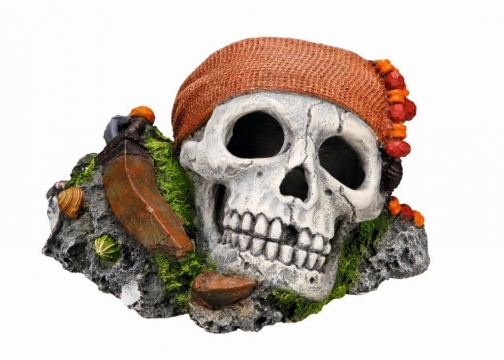 Διακόσμηση Ενυδρείου