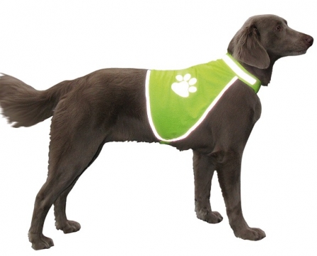 Φωτιζόμενα & Ανακλαστικά