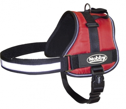 Επιστήθια - "SEGURO"