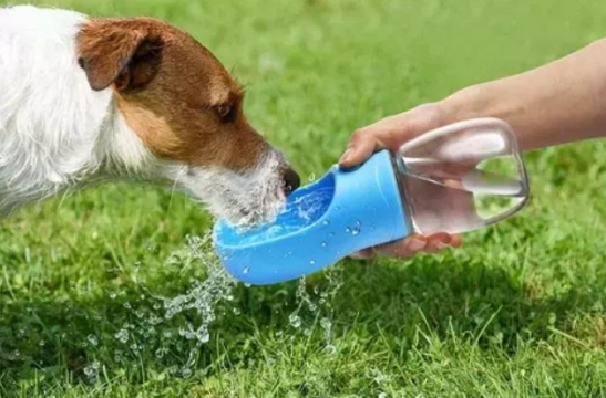 Αξεσουάρ βόλτας