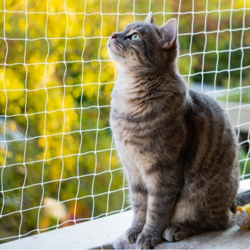 Δίχτυ περιορισμού & προστασίας