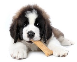 Snacks, Λιχουδιές, Μπισκότα, Κολλαγόνο