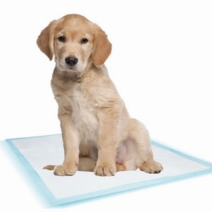 Πάνες Προστασίας