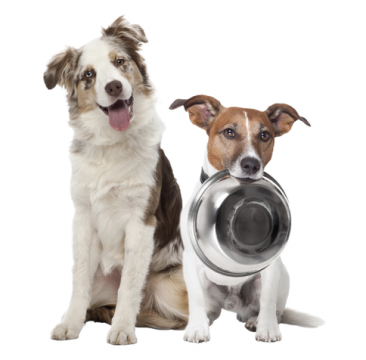 Μπολ & Πιάτα