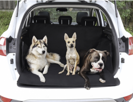 Βόλτα & Ταξίδι