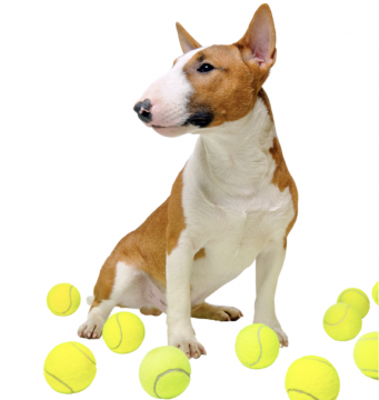 Μπάλες & Μπαλάκια Tennis