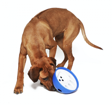 Εκπαίδευση & Άθληση