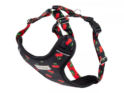 AMIPLAY Λουριά, Περιλαίμια, Επιστήθια