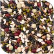 BLATTNER-Germination Mix for BULLFINCH (Rene Ehemann)