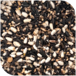 BLATTNER-Germination Mix CARDUELIS Major, 2,5kg
