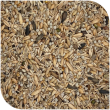 BLATTNER-Goldfinch Minor MEDITERRANEO  (no niger), 5kg