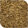 BLATTNER-FLY Larvae dried, 1kg