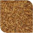 BLATTNER-Dried MEALWORMS, 1kg