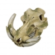 NOBBY: Aqua Ornament, WARTHOG SKULL