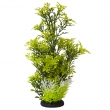 NOBBY: Aqua Ornaments ROTALA