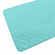 NOBBY: Washable Hygiene Mat mint