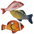 NOBBY DISPLAY: PLUSH fish w/ CATNIP x24 Mixed colors