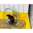 SAVIC XL Rolly για Hamster