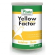 PINETA-Color-YELLOW Factor, 100g