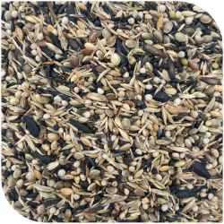 BLATTNER-Goldfinch Major ITALIA, 5kg