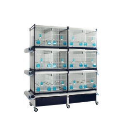 ITALGABBIE-#80 IRIS Επαγγελματική Κλούβα