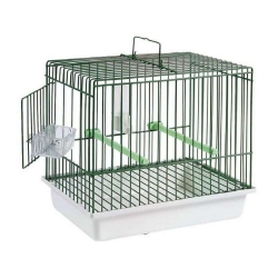 STA-Κλουβί TRASPORTO CINCIA, GREEN