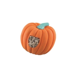 NOBBY-Κολοκύθα Ασβεστίου & Κοχυλιών-Παπαγάλοι