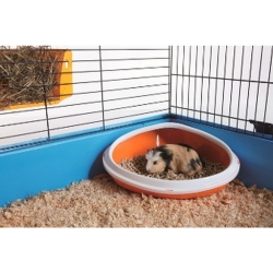 SAVIC: Corner Loo Concha medium Mixed colors