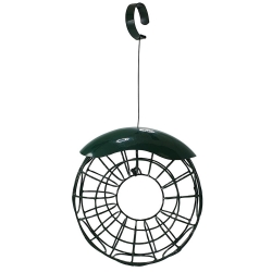 NOBBY: Tit dumbling ring Green