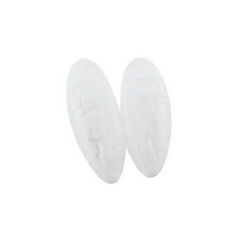 NOBBY: Cuttlefish Bone S 1kg