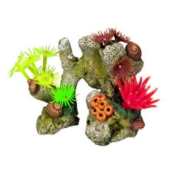 NOBBY: Aqua Ornament, CORAL STONE, with Plants