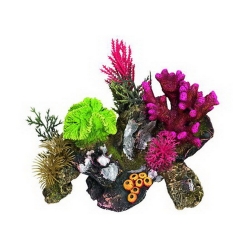 NOBBY: Aqua Ornament, CORAL STONE, with Plants