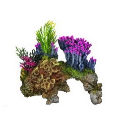 NOBBY: Aqua Ornament, CORAL STONE, with Plants