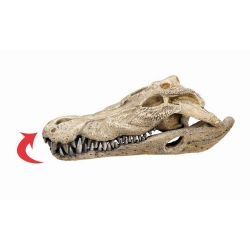 NOBBY: Aqua Ornament, CROCODILE SCULL